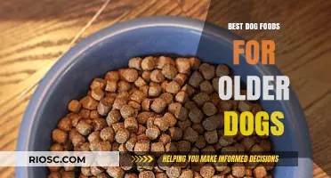 Nutritious and Delicious: Top Dog Food Choices to Keep Your Senior Pup Healthy and Happy