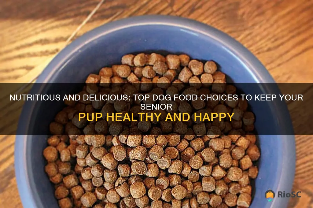 best dog foods for older dogs