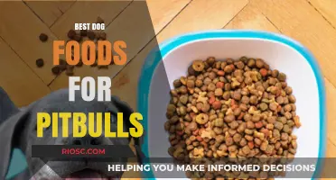 Top Nutritional Picks: Best Dog Foods to Fuel Your Pitbull's Strength and Energy