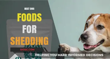 Top Nutritious Dog Foods to Reduce Shedding and Promote a Healthy Coat