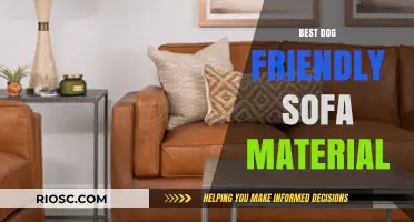 Top Dog-Friendly Sofa Materials: Durable, Easy-to-Clean, and Pet-Approved Fabrics for Your Home