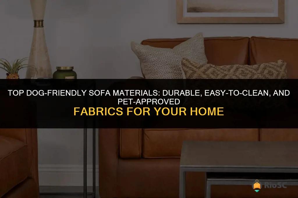 best dog friendly sofa material