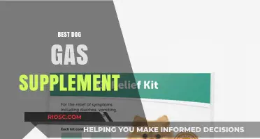 Top Dog Gas Supplements to Relieve Your Pup's Discomfort and Improve Digestion
