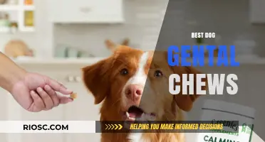 Top Gentle Chew Treats for Dogs: Safe and Soothing Options for Your Pup