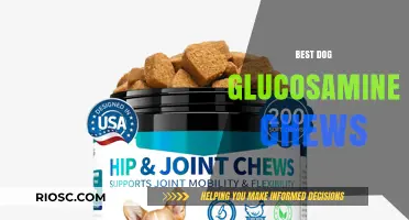 Top-Rated Glucosamine Chews for Dogs: Enhance Joint Health and Mobility