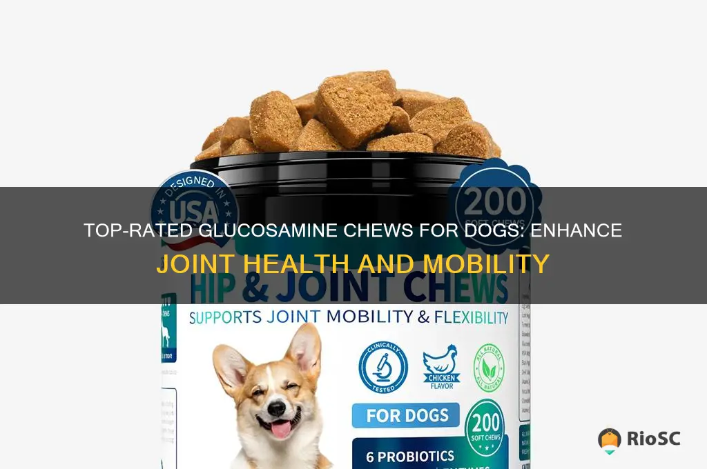 best dog glucosamine chews