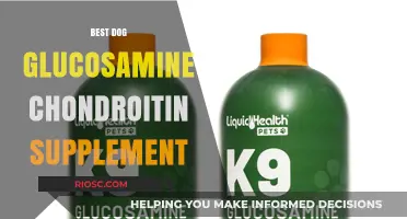 Top-Rated Glucosamine Chondroitin Supplements for Dogs: Enhance Joint Health and Mobility