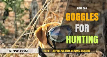 Protect Your Hunting Companion: Top Dog Goggles for Safety and Style in the Field