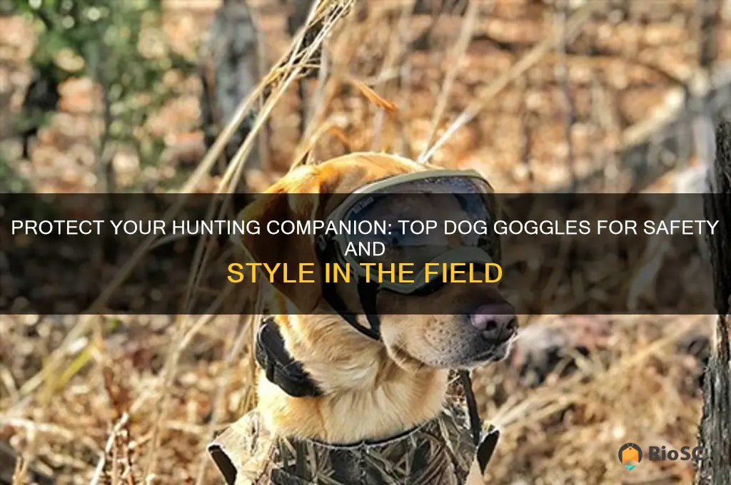best dog goggles for hunting