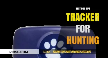 Top-Rated Dog GPS Trackers for Hunting: Enhance Your Outdoor Adventures with Precision and Safety