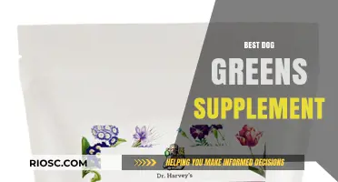 Top Dog Greens Supplements: Boost Your Pup's Health and Vitality