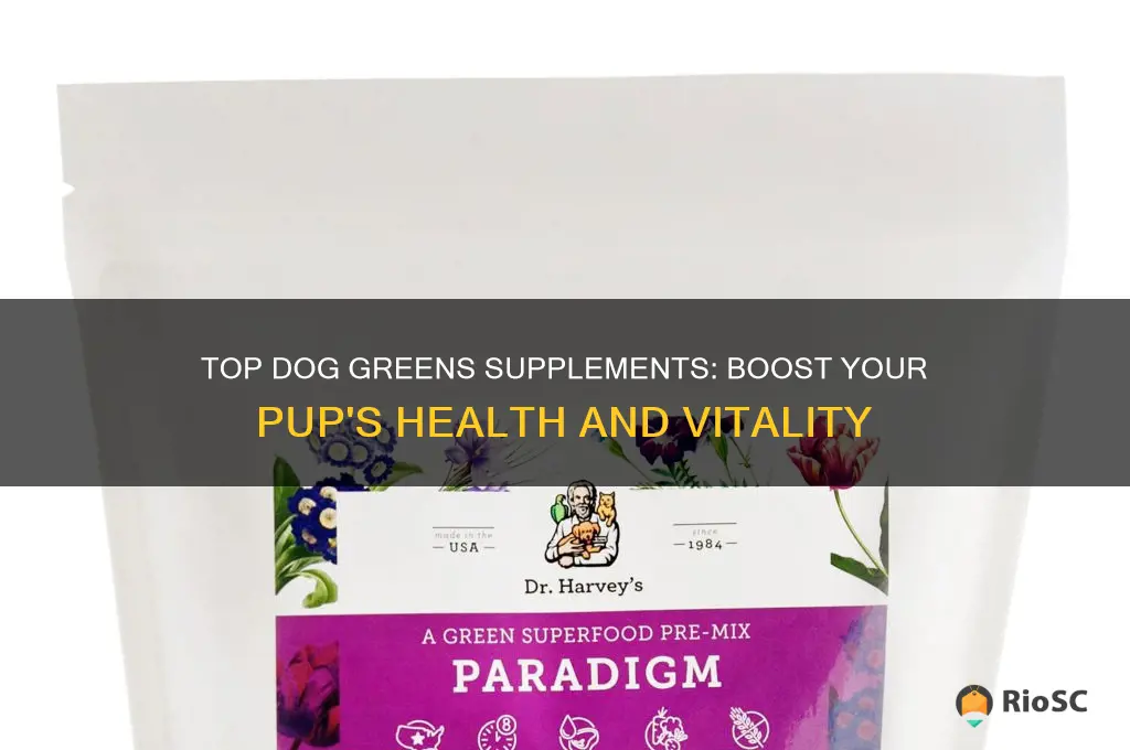 best dog greens supplement