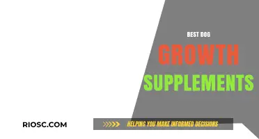 Top Dog Growth Supplements to Support Your Puppy's Healthy Development