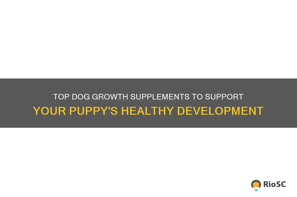 best dog growth supplements