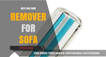 Effective Dog Hair Remover Tools to Keep Your Sofa Fur-Free