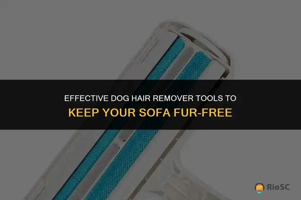 best dog hair remover for sofa
