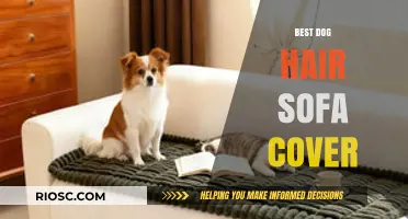 Ultimate Guide to the Best Dog Hair Sofa Covers: Protect Your Furniture in Style