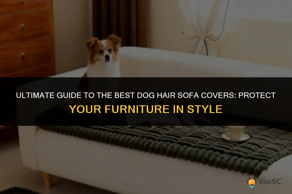 best dog hair sofa cover