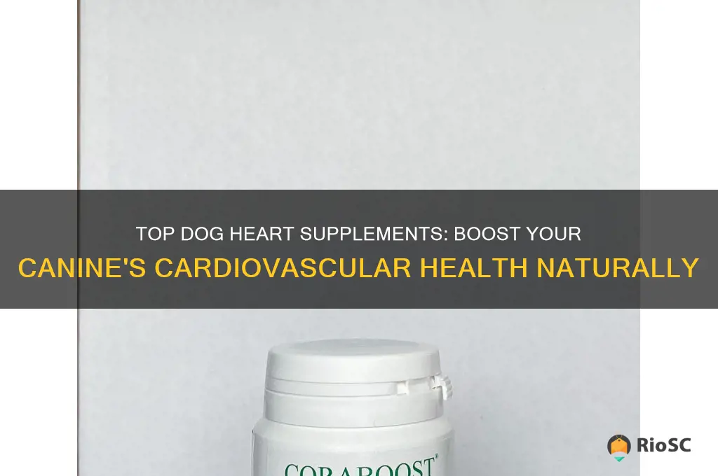 best dog heart supplement