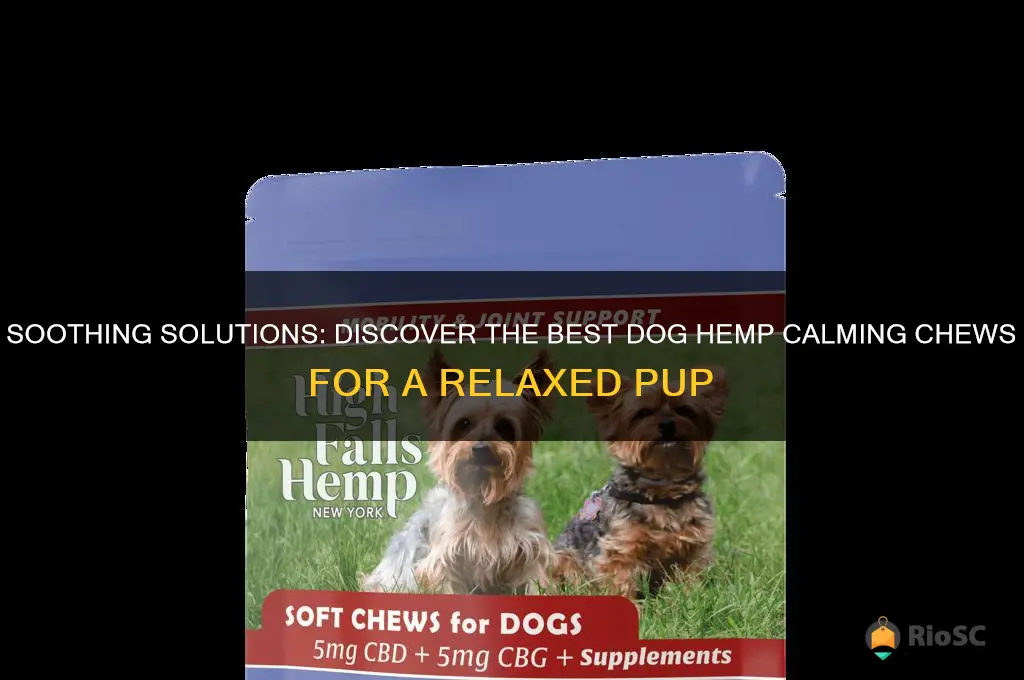best dog hemp calming chews