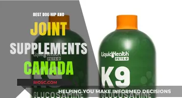 Top-Rated Dog Hip and Joint Supplements in Canada: Enhance Your Pet’s Mobility and Comfort