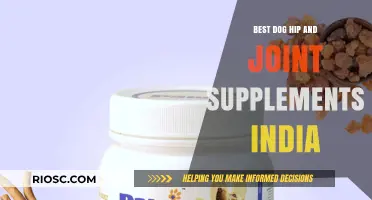 Top Dog Hip and Joint Supplements in India: Enhance Your Pet's Mobility and Comfort
