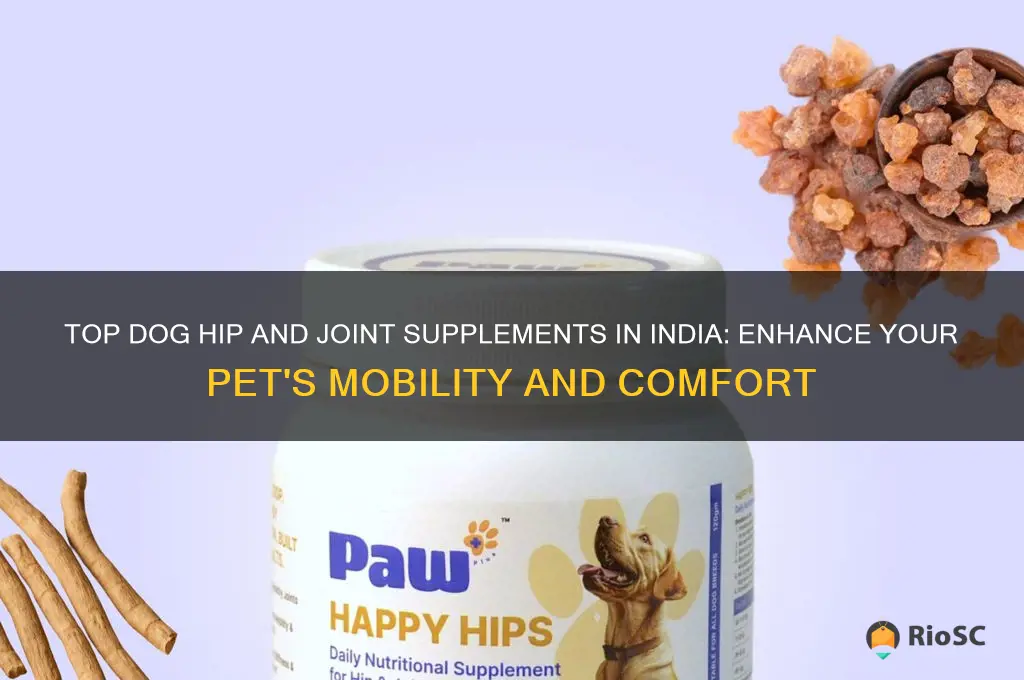 best dog hip and joint supplements india