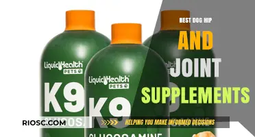 Top-Rated Dog Hip and Joint Supplements for Enhanced Mobility and Joint Health