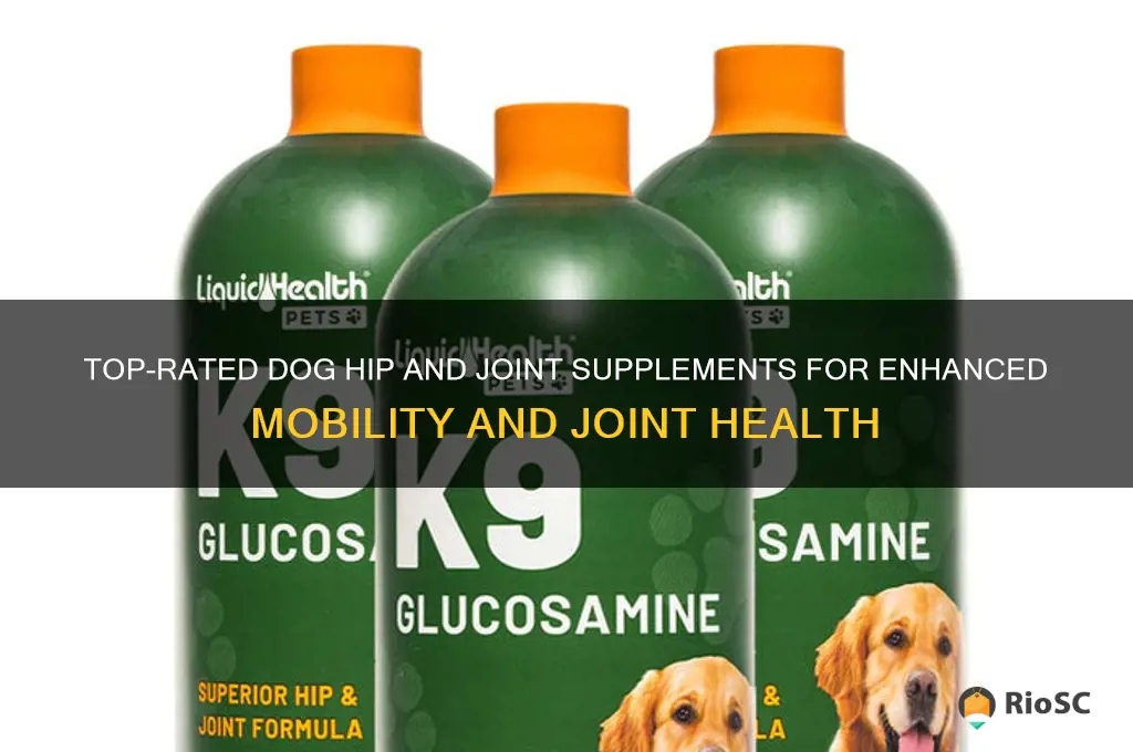 best dog hip and joint supplements