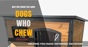Durable and Chew-Resistant: The Ultimate Dog House for Large Dogs Who Love to Chew