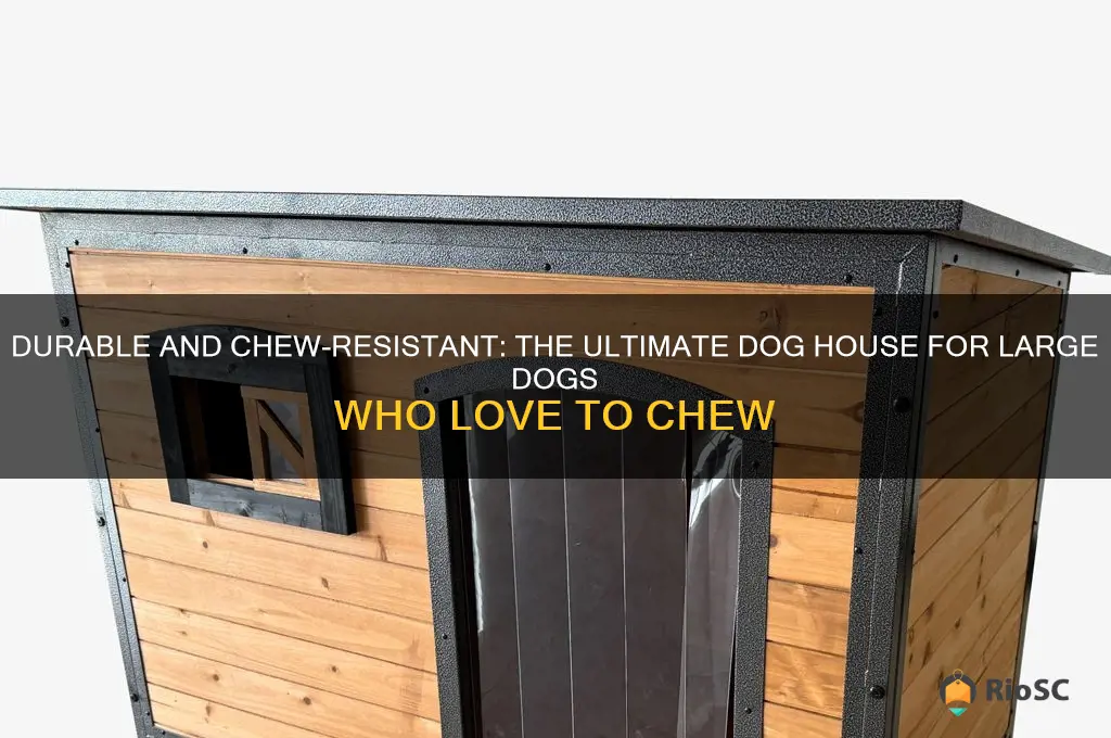 best dog house for large dogs who chew