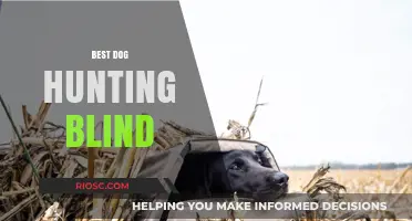 Top Features to Look for in the Best Dog Hunting Blind for Optimal Performance and Comfort