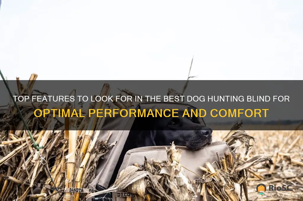 best dog hunting blind