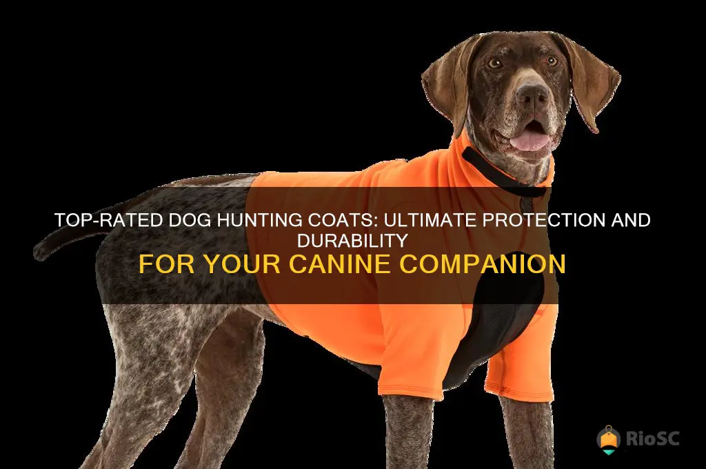 best dog hunting coat