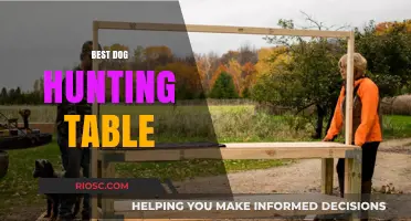 Top Picks for the Ultimate Dog Hunting Table: Enhance Your Hunting Experience