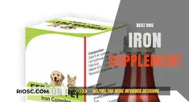 Top Dog Iron Supplements: Boost Your Pup's Health and Energy