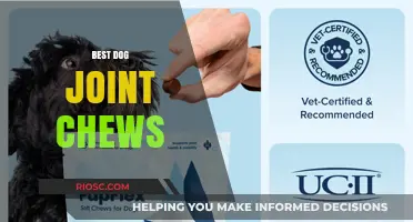 Top-Rated Dog Joint Chews: Boost Your Pup's Mobility and Comfort