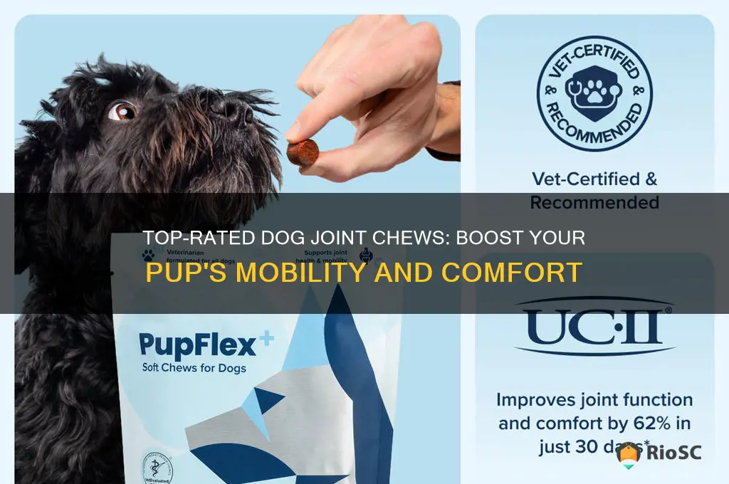 best dog joint chews