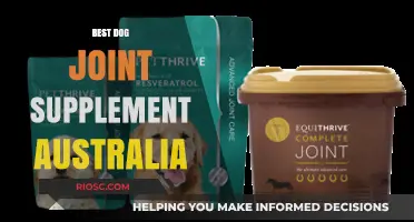 Top Dog Joint Supplements in Australia: Boost Your Pet's Mobility and Comfort