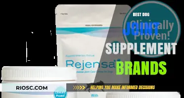 Top-Rated Dog Joint Supplements: Leading Brands for Canine Mobility and Joint Health