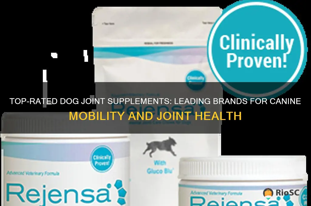 best dog joint supplement brands