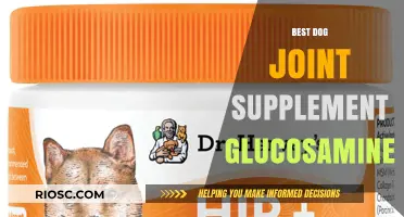 Top Glucosamine Joint Supplements for Dogs: Enhance Mobility and Joint Health