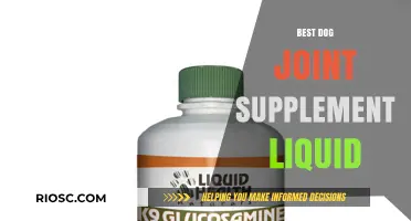 Top Liquid Joint Supplements for Dogs: Enhance Mobility and Joint Health Naturally
