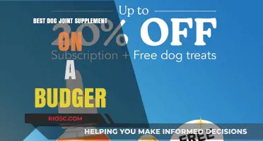 Affordable Relief: Top Dog Joint Supplements That Won't Break the Bank