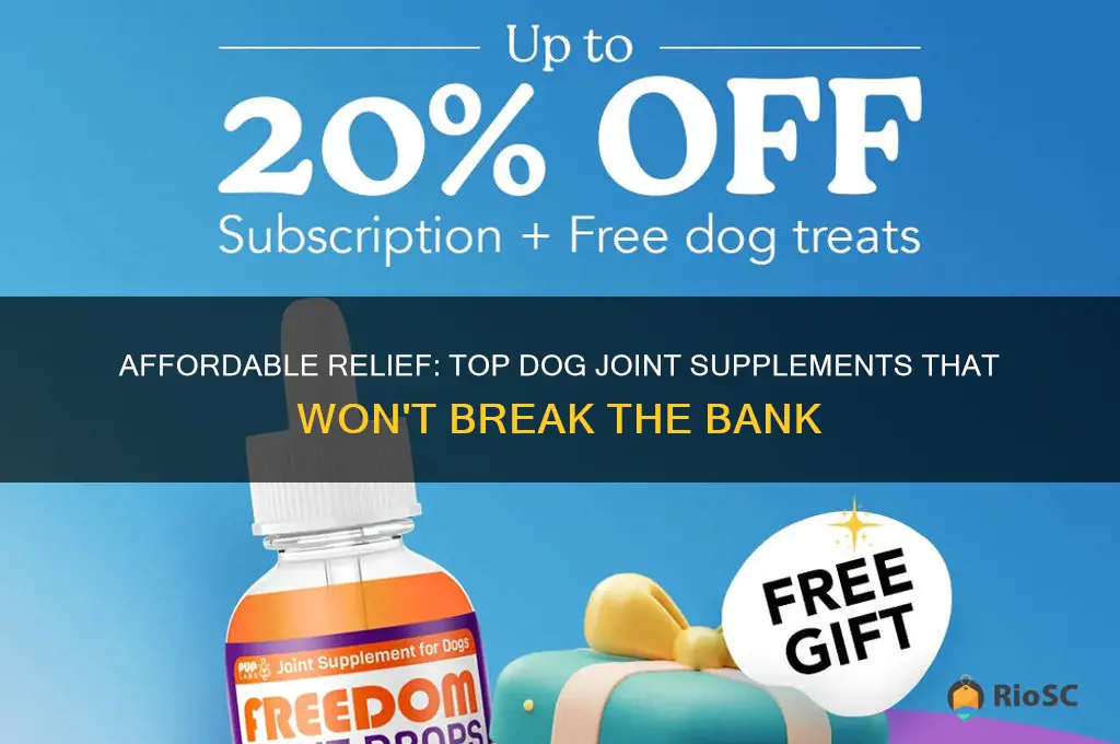 best dog joint supplement on a budger