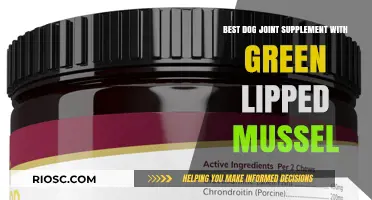 Top Dog Joint Supplements Featuring Green Lipped Mussel for Enhanced Mobility and Joint Health
