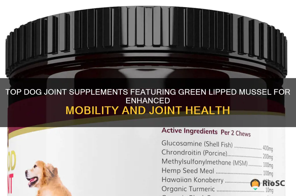 best dog joint supplement with green lipped mussel