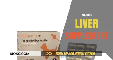 Top Dog Liver Supplements for Optimal Health and Vitality