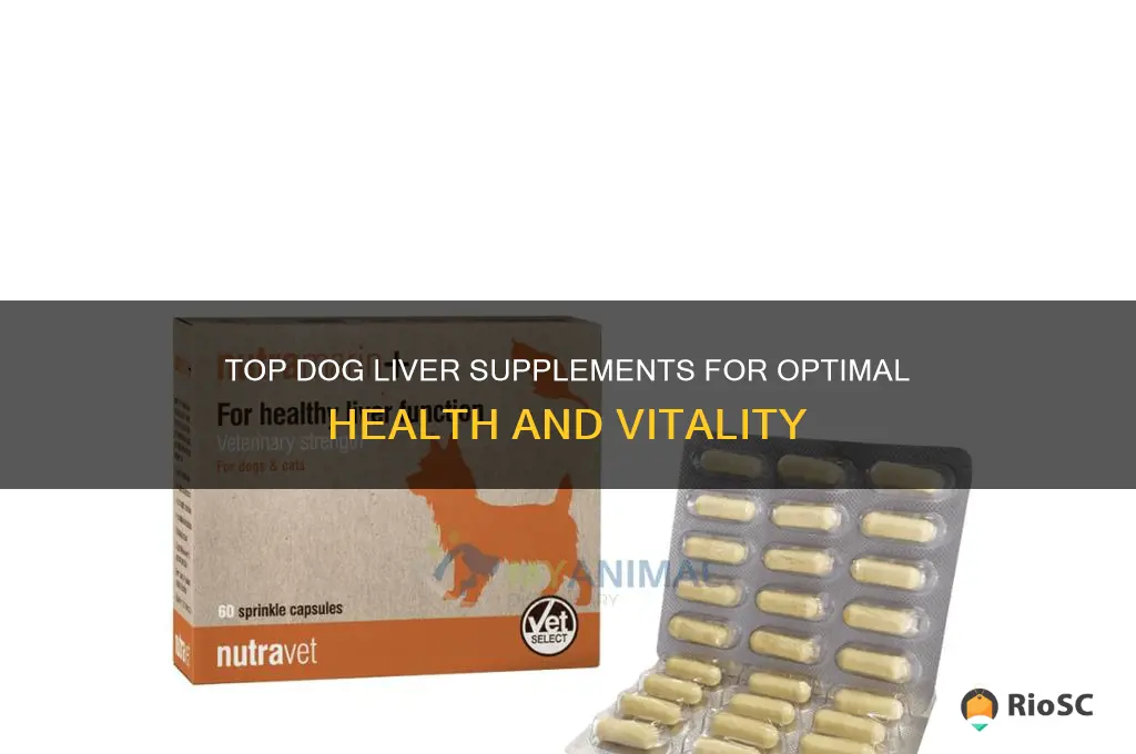 best dog liver supplement