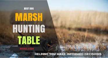 Top Picks for the Best Dog Marsh Hunting Table: Enhance Your Hunting Experience